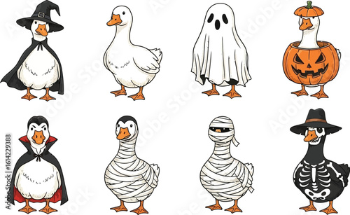 Cute cartoon goose in Halloween costumes. Vector illustration set.
