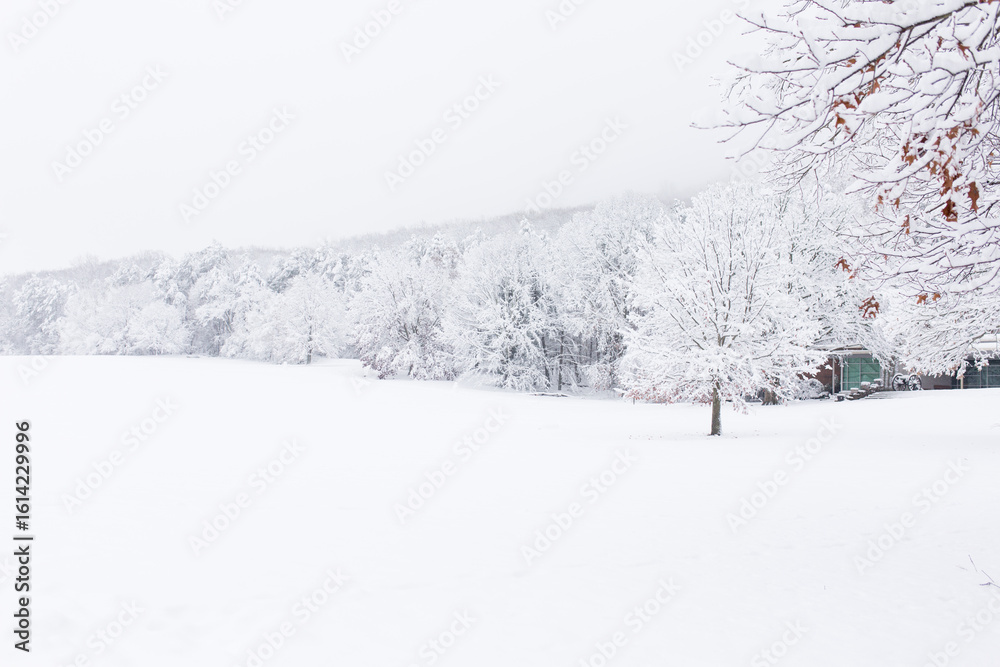Fototapeta premium snow covered landscape