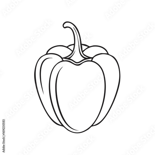 Bell pepper vector outline illustration, single vegetable ingredient, capsicum outline