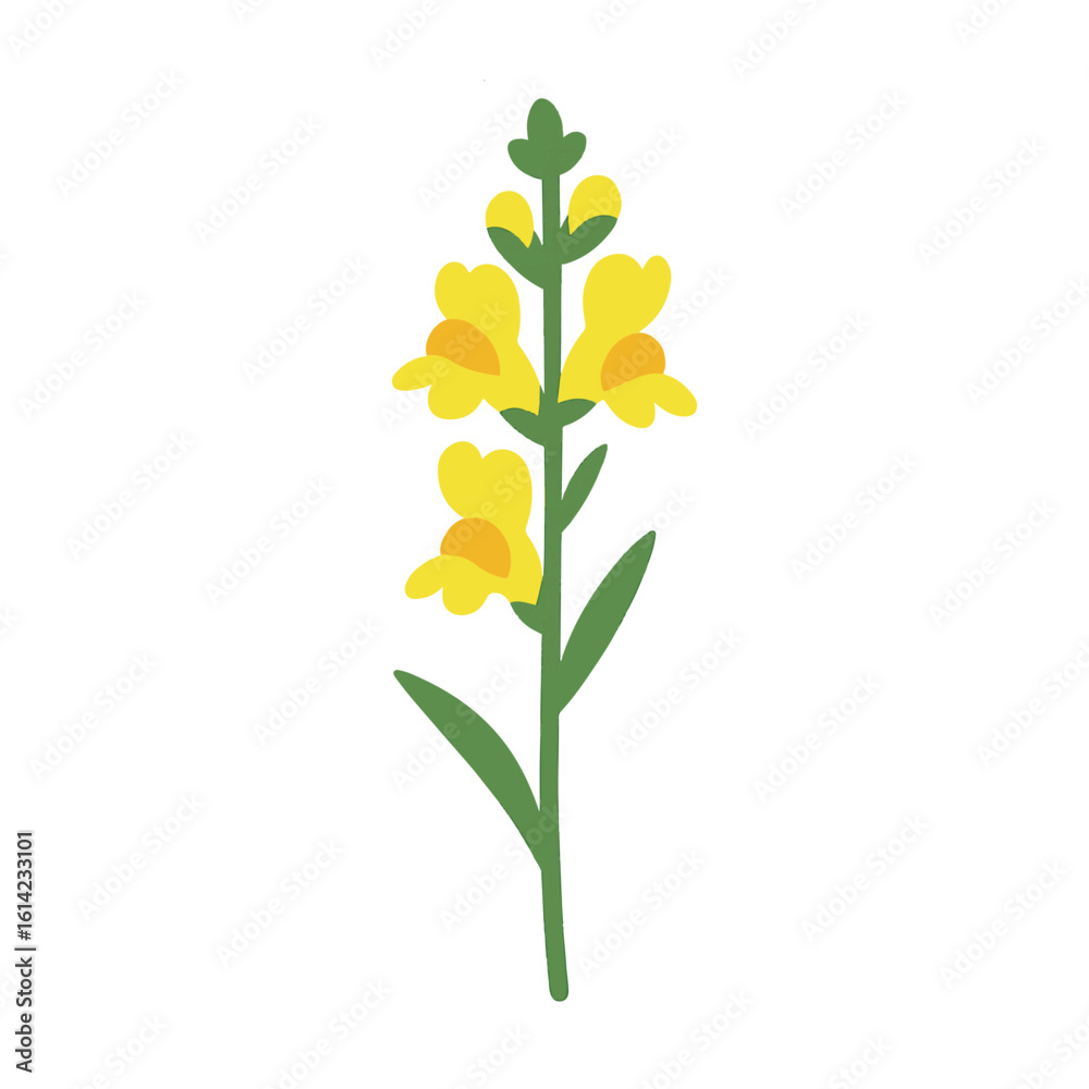 Naklejka premium flower Toadflax illustration vector on white background Vector illustration on white background flowers