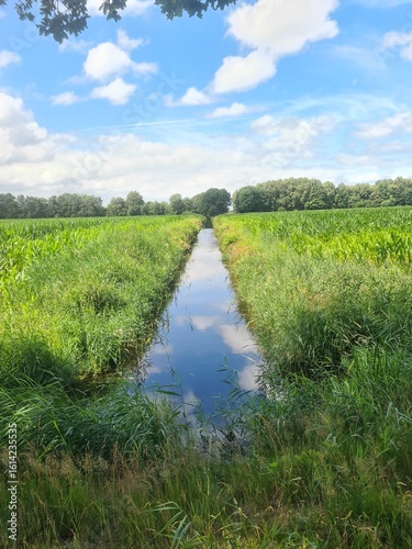 landscape with river