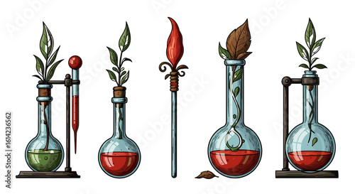 Alchemic vessels with plant growth elements and mystical wand illustration