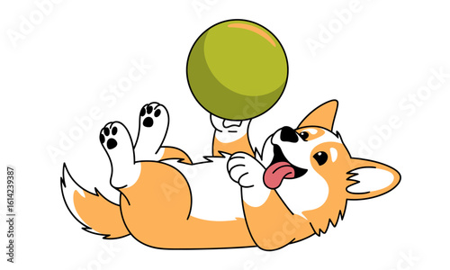 A cheerful corgi playfully lying on its back, balancing a green ball on its paws, showcasing its playful and friendly demeanor, perfect for pet lovers and animal enthusiasts alike.