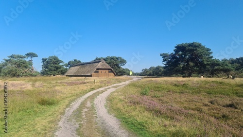 country road in the countryside
