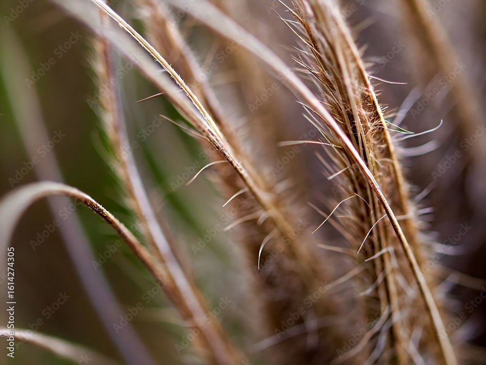 Obraz premium abstract macro background close-up