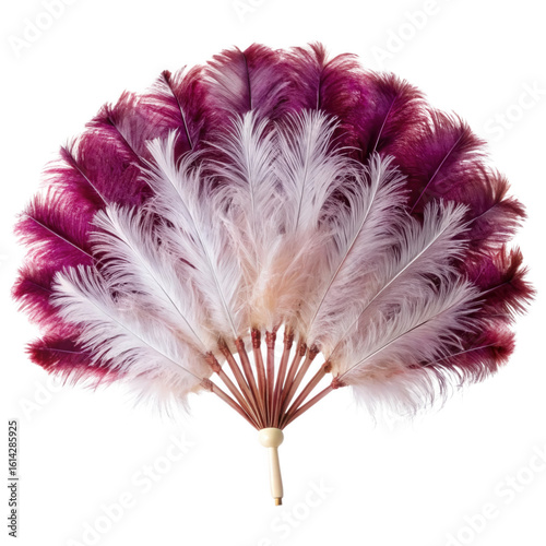 Elegant white and pink feather fan isolated on transparent background