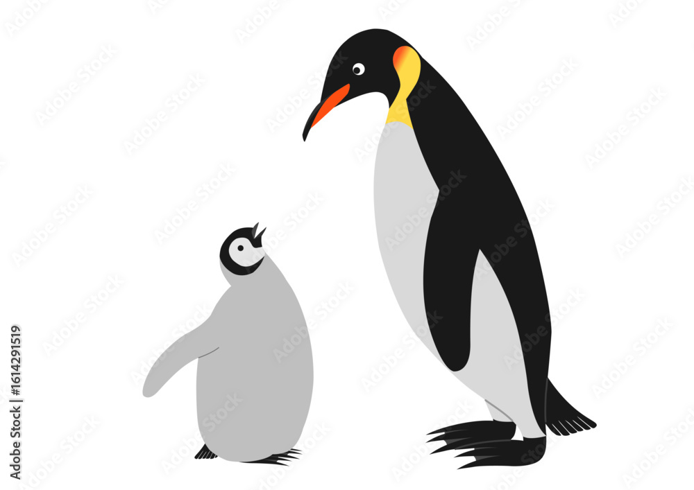 Obraz premium 向かい合うコウテイペンギンの親子のイラスト