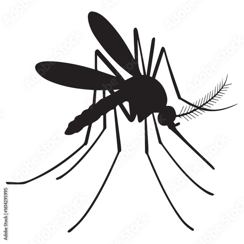 A striking black silhouette of a mosquito isolated on white background, representing disease, pests, and the need for insect control