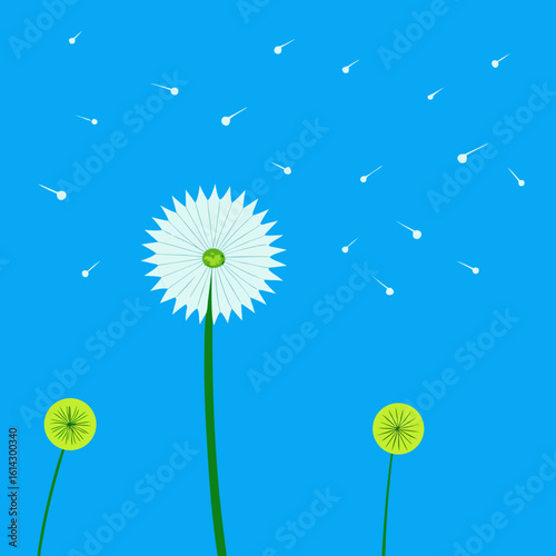 Dandelion seeds blowing in the wind on a blue sky