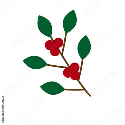 Aesthetic winter botanical elements in a soft flat illustration style, perfect for modern winter branding, packaging, or digital product use