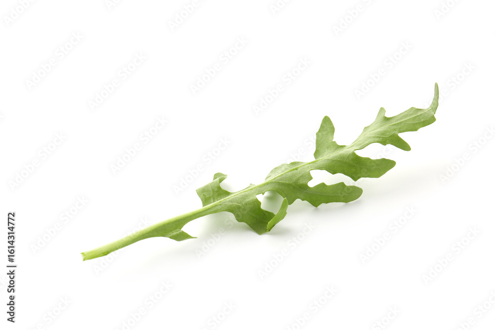 Obraz premium Fresh ripe green arugula leaf isolated on white