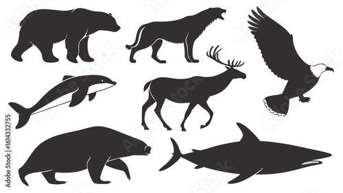 Silhouettes of Various Wildlife Species Including Bear, Wolf, Eagle, and Shark