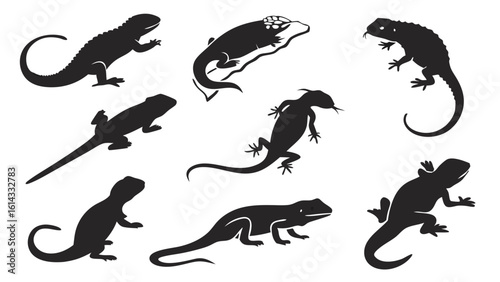 Various Silhouettes of Lizards in Black Design for Illustrative Purposes