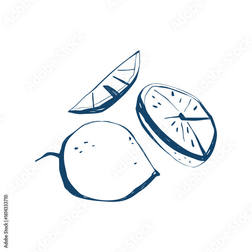 Sliced lemon hand drawn sketch with whole fruit wedge and half cross section isolated on white