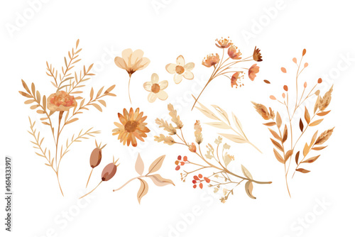 floral 