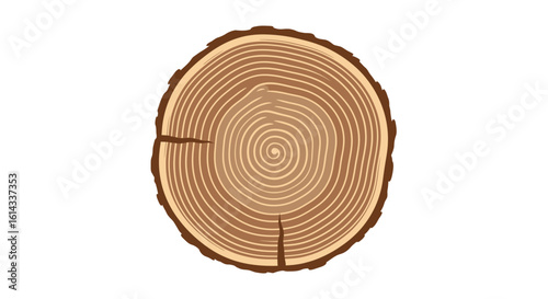 Minimalist Tree Trunk Cross Section Revealing Concentric Annual Rings and Natural Growth Patterns representing ecological assessment and growth