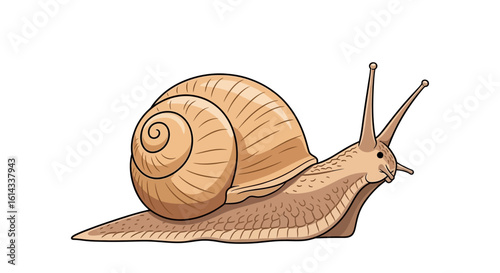 Detailed Cartoon Illustration of a Garden Snail Isolated on a White Background Showing Intricate Shell Details and Antennae