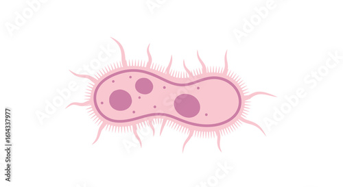 Stylized Microorganism: A Vector Illustration of a Pink Bacterium Cell with Flagella and Internal Structures