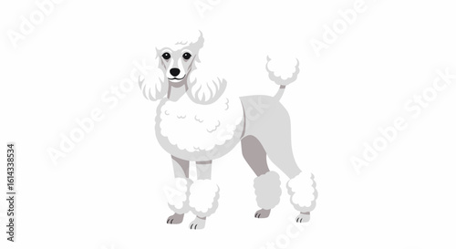 Elegant Poodle Illustration: A Simple, Clean Representation of Canine Grace and Charm in a Flat Vector Style Design Aesthetic