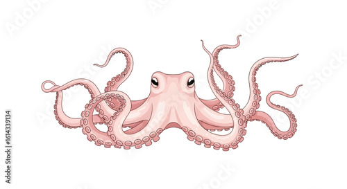 Elegant depiction of an eight-armed octopus with a soft pink palette and a detailed tentacle arrangement perfect for marine science and design
