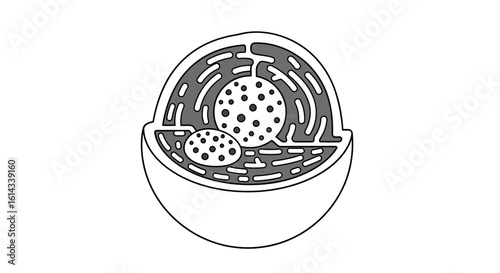 Monochrome depiction of a cell's inner workings, presenting a simplified view of cellular biology and internal components, ideal for educational aids