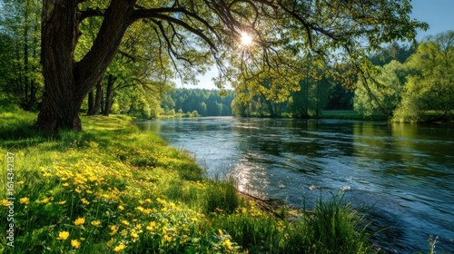 Serene Riverbank Landscape: A Tranquil Spring Day