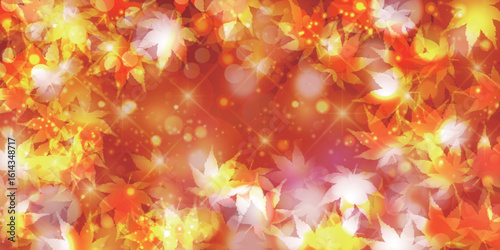 紅葉　もみじ　秋　背景	