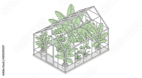 Greenhouse with plants, potted flowers, gardening, indoor space