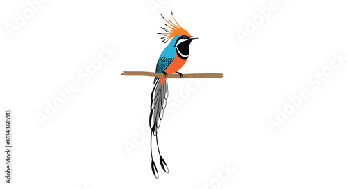 Exotic tropical bird perched on a branch with a vibrant plumage and long tail feathers