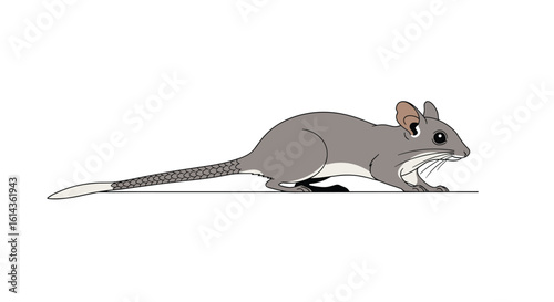 Agile kangaroo rat hopping across an imaginary desert landscape illustration