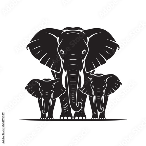 Majestic african elephant family silhouette with large ears and trunk facing forward isolated on white background