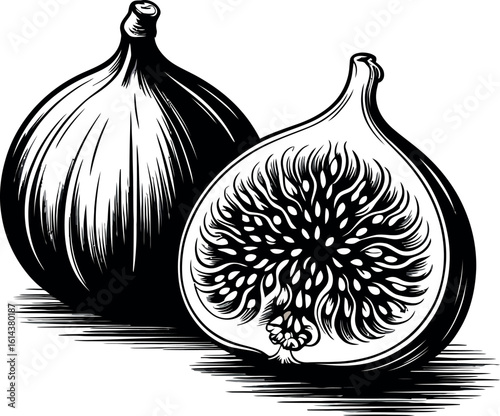 A black and white illustration of two figs one whole and one cut in half showing seeds