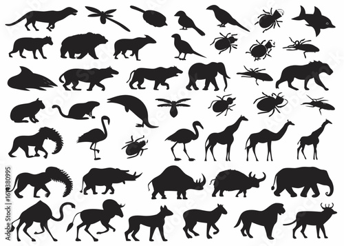 Vector  silhouette collection featuring diverse wildlife including mammals birds insects and aquatic animals shown in black