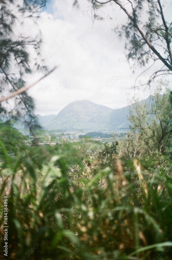 Obraz premium mountain landscape with trees