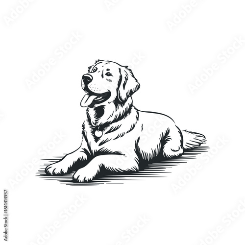 Hand drawn vector illustration of a happy golden retriever laying down