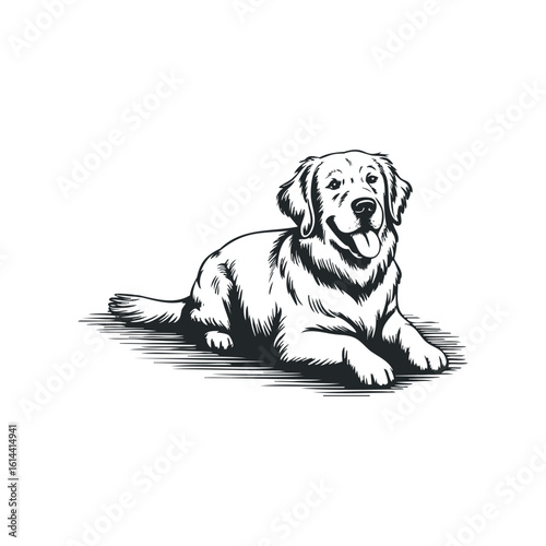 Golden retriever resting in a hand drawn vector illustration