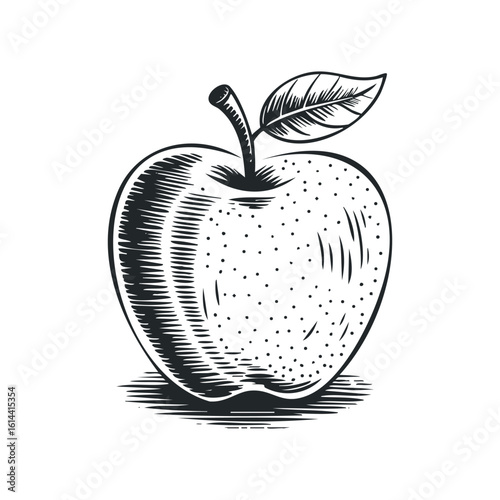 Hand drawn vector illustration of a simple apple with leaf