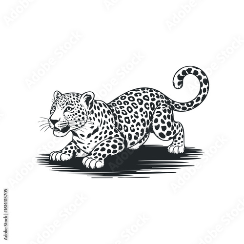 Hand drawn vector illustration of a crouching leopard in motion
