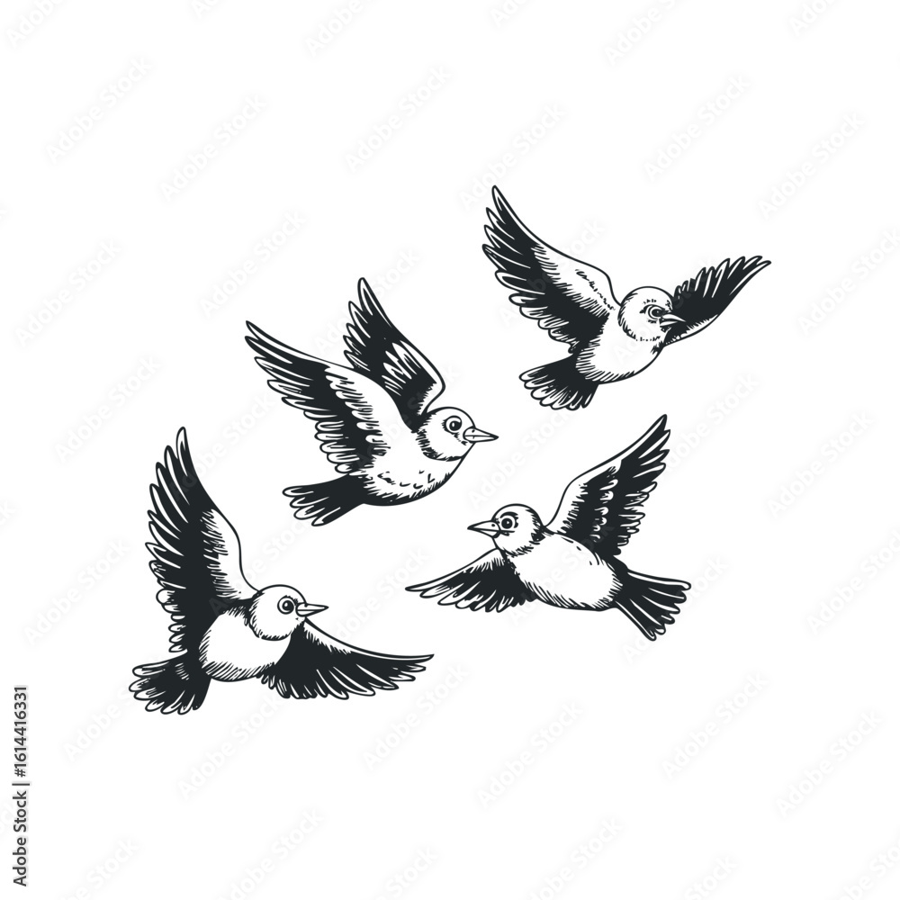Naklejka premium Hand drawn vector illustration of flying birds soaring in the sky