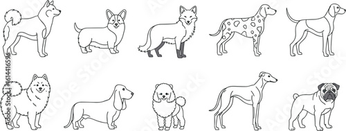 CAD Drawings. Set dogs outlines isolated on white background. Sitting, walking. Top view. Vector illustration.