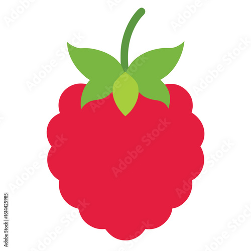 Vibrant raspberry fruit illustration with clean white background