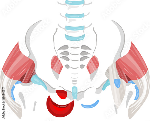 ischal bursitis