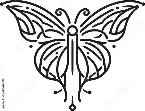 Top view drawing butterfly on white wooden background. Mock up