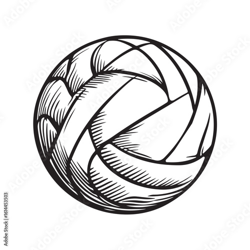 High-quality volleyball-themed vector illustration, perfect for sports posters, team branding, tournament flyers, web graphics, and promotional materials