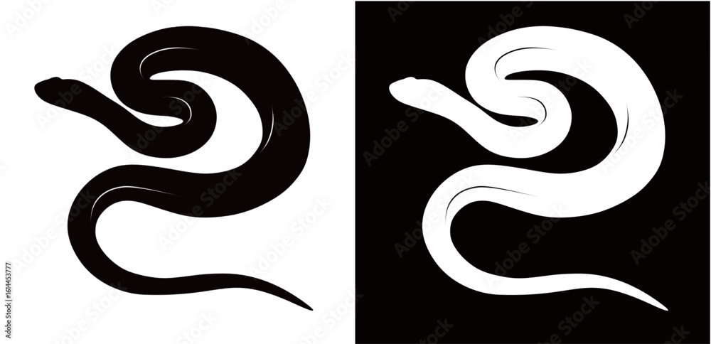 Obraz premium silhouette of a python isolated on a black and white background. Dangerous wild reptile.