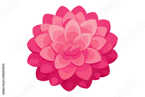 Vibrant pink succulent plant with layered petals