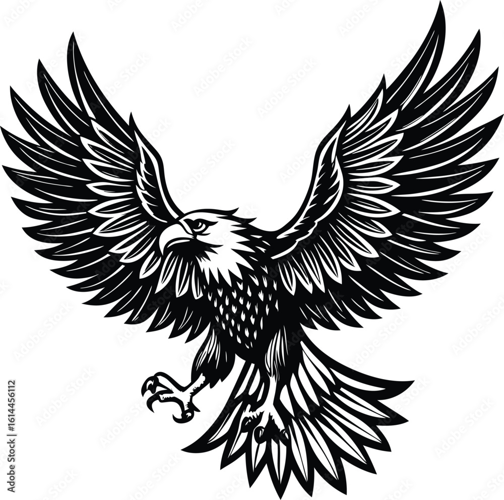 Obraz premium Bald Eagle Vector Illustration: Majestic Predator in Flight