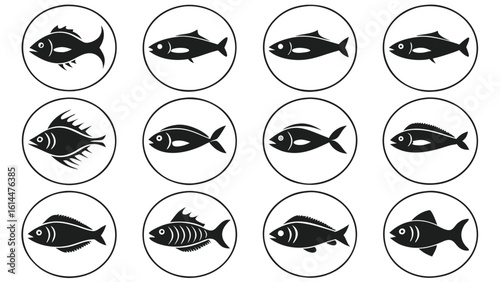 Collection of simple drawn fish icons illustrations in silhouette on different species vector illustration