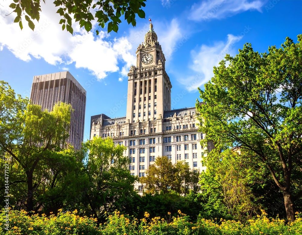 Naklejka premium City clock tower framed by trees and flowers