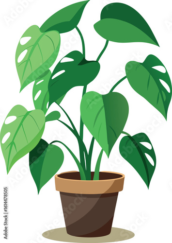 Pothos plant leaf illustration with transparent background